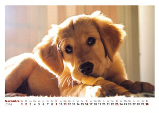 Exemple de calendrier photo mensuel